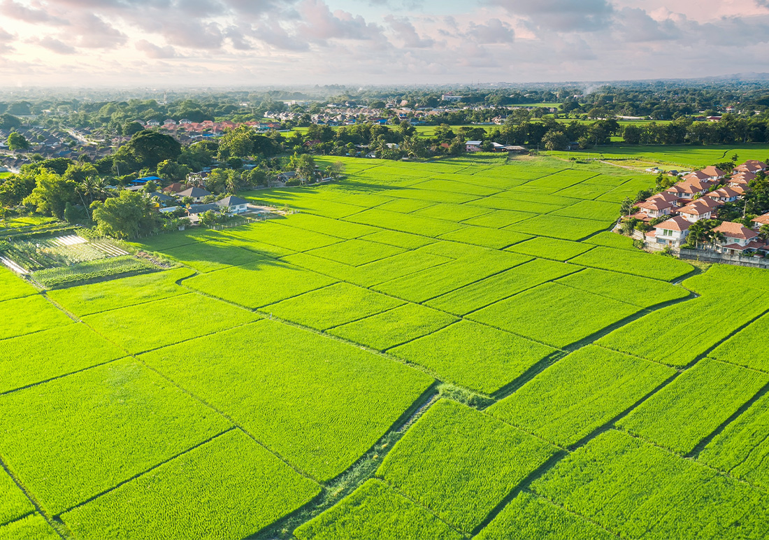 Land Banking