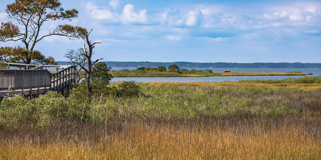 Understanding Land Banking